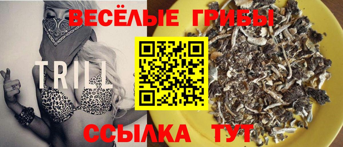 Галлюциногенные грибы Psilocybe  Псилоцибиновые грибы MAGIC MUSHROOMS  Вход с VPN  Рубцовск 